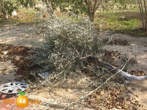 accedent lakhesh 0104 (11).jpg